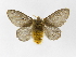  ( - INBIOCRI000729494)  @14 [ ] Copyright (2012) J. Montero Instituto Nacional de Biodiversidad