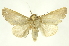  ( - INBIOCRI000733464)  @14 [ ] Copyright (2012) Juan Mata Lorenzen Unspecified
