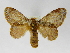  ( - INBIOCRI000742379)  @14 [ ] Copyright (2012) J. Montero Instituto Nacional de Biodiversidad