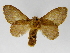  ( - INBIOCRI000742379)  @14 [ ] Copyright (2012) J. Montero Instituto Nacional de Biodiversidad