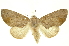  ( - INBIOCRI000742439)  @14 [ ] Copyright (2012) Juan Mata Lorenzen INBio