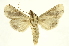  ( - INBIOCRI000744205)  @13 [ ] Copyright (2012) J. Montero INBio