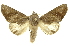  ( - INBIOCRI000755081)  @14 [ ] Copyright (2012) Juan Mata Lorenzen INBio