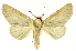 ( - INBIOCRI000755204)  @14 [ ] Copyright (2012) Juan Mata Lorenzen Unspecified