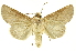  ( - INBIOCRI000781885)  @14 [ ] Copyright (2012) Juan Mata Lorenzen INBio