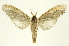  ( - INBIOCRI000782680)  @13 [ ] Copyright (2012) Juan Mata Lorenzen INBio