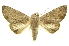  ( - INBIOCRI000782786)  @14 [ ] Copyright (2012) Juan Mata Lorenzen INBio