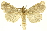 ( - INBIOCRI000806310)  @15 [ ] Copyright (2012) J. Montero INBio