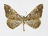  ( - INBIOCRI000809571)  @11 [ ] Copyright (2012) J. Montero Instituto Nacional de Biodiversidad