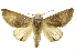  ( - INBIOCRI000811122)  @15 [ ] Copyright (2012) Juan Mata Lorenzen Unspecified