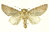  ( - INBIOCRI000811122)  @15 [ ] Copyright (2012) Juan Mata Lorenzen Unspecified