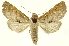  ( - INBIOCRI000814160)  @11 [ ] Copyright (2012) Juan Mata Lorenzen INBio