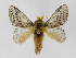  ( - INBIOCRI000815986)  @14 [ ] Copyright (2012) J. Montero Instituto Nacional de Biodiversidad