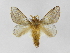  ( - INBIOCRI000815986)  @14 [ ] Copyright (2012) J. Montero Instituto Nacional de Biodiversidad