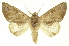  ( - INBIOCRI000819340)  @14 [ ] Copyright (2012) Juan Mata Lorenzen INBio