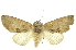  ( - INBIOCRI000827709)  @14 [ ] Copyright (2012) Juan Mata Lorenzen INBio