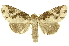  ( - INBIOCRI000840619)  @14 [ ] Copyright (2012) J. Montero INBio