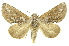  ( - INBIOCRI000843067)  @14 [ ] Copyright (2012) Juan Mata Lorenzen INBio