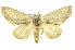  ( - INBIOCRI000843068)  @14 [ ] Copyright (2012) Juan Mata Lorenzen Unspecified