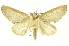  ( - INBIOCRI000843068)  @13 [ ] Copyright (2012) Juan Mata Lorenzen Unspecified