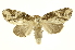  ( - INBIOCRI000843525)  @13 [ ] Copyright (2012) J. Montero INBio