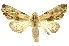  ( - INBIOCRI000849892)  @12 [ ] Copyright (2012) J. Montero INBio