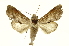  ( - INBIOCRI000857858)  @13 [ ] Copyright (2012) Juan Mata Lorenzen INBio