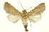 ( - INBIOCRI000857858)  @12 [ ] Copyright (2012) Juan Mata Lorenzen INBio