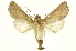  ( - INBIOCRI000857862)  @12 [ ] Copyright (2012) Juan Mata Lorenzen INBio