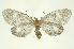 ( - INBIOCRI000882484)  @14 [ ] Copyright (2012) Juan Mata Lorenzen Unspecified