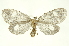  ( - INBIOCRI000882484)  @14 [ ] Copyright (2012) Juan Mata Lorenzen Unspecified