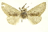  ( - INBIOCRI000902483)  @12 [ ] Copyright (2012) Juan Mata Lorenzen Unspecified