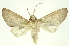  ( - INBIOCRI000931165)  @13 [ ] Copyright (2012) Juan Mata Lorenzen INBio