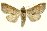  ( - INBIOCRI000932310)  @13 [ ] Copyright (2012) Juan Mata Lorenzen INBio