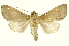  ( - INBIOCRI000932310)  @12 [ ] Copyright (2012) Juan Mata Lorenzen INBio