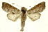  ( - INBIOCRI000932330)  @13 [ ] Copyright (2012) Juan Mata Lorenzen INBio