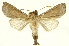 ( - INBIOCRI000932330)  @13 [ ] Copyright (2012) Juan Mata Lorenzen INBio