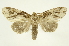  ( - INBIOCRI000939898)  @13 [ ] Copyright (2012) J. Montero INBio