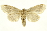  ( - INBIOCRI000939898)  @13 [ ] Copyright (2012) J. Montero INBio
