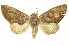  ( - INBIOCRI000941050)  @13 [ ] Copyright (2012) Juan Mata Lorenzen INBio