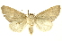  ( - INBIOCRI000941050)  @13 [ ] Copyright (2012) Juan Mata Lorenzen INBio