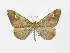  ( - INBIOCRI000944807)  @11 [ ] Copyright (2012) J. Montero Instituto Nacional de Biodiversidad