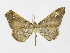  ( - INBIOCRI000944808)  @11 [ ] Copyright (2012) J. Montero Instituto Nacional de Biodiversidad