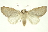  ( - INBIOCRI000947805)  @13 [ ] Copyright (2012) Juan Mata Lorenzen INBio
