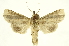  ( - INBIOCRI000950075)  @14 [ ] Copyright (2012) J. Montero INBio