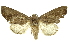  ( - INBIOCRI000954394)  @11 [ ] Copyright (2012) Juan Mata Lorenzen INBio
