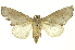  ( - INBIOCRI000954394)  @11 [ ] Copyright (2012) Juan Mata Lorenzen INBio