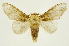  ( - INBIOCRI000954763)  @15 [ ] Copyright (2012) J. Montero INBio