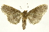  ( - INBIOCRI000954763)  @15 [ ] Copyright (2012) J. Montero INBio