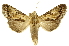 ( - INBIOCRI000956816)  @11 [ ] Copyright (2012) J. Montero INBio